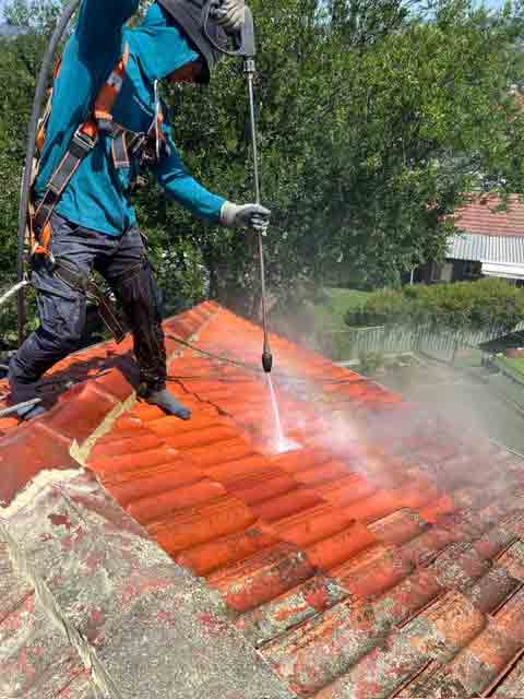 roof cleaning