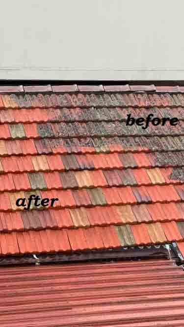 roof-cleaning-4